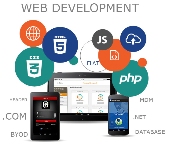 Web Development