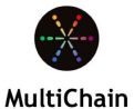 MultiChain Partner