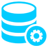 Database Management System